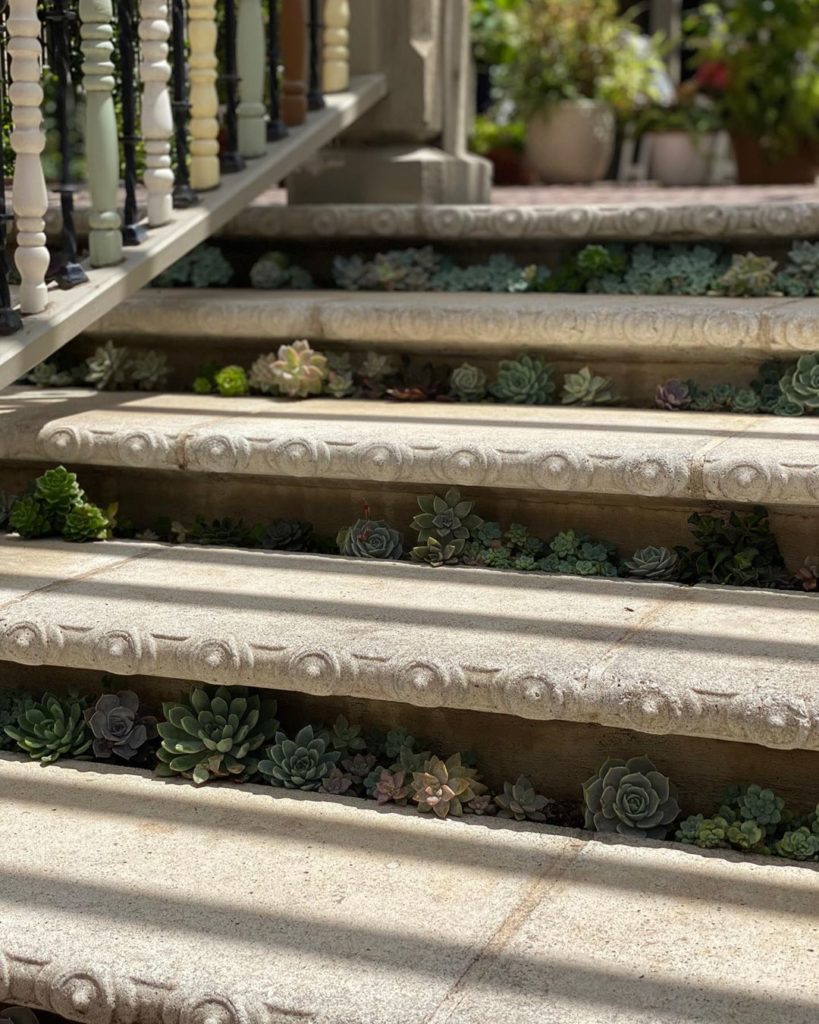 How cool are these succulent stairs?!
.
.
#succulents #succulentdesign #succulen...