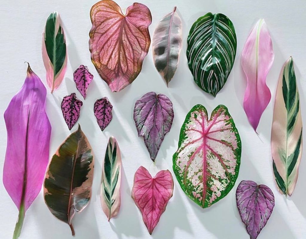 currently obsessed with these. : @patrix15...