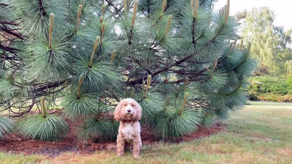 #Fun #facts #Friday...