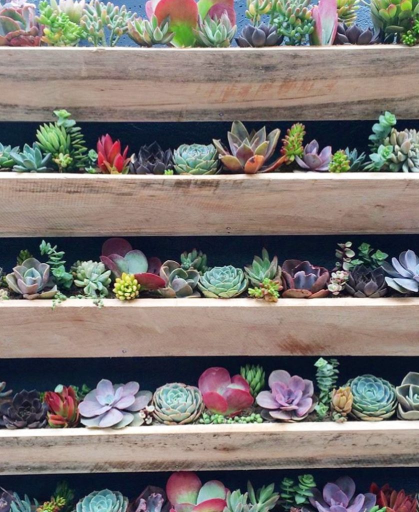 Let nature do the talking, just listen and breathe. : unknown...