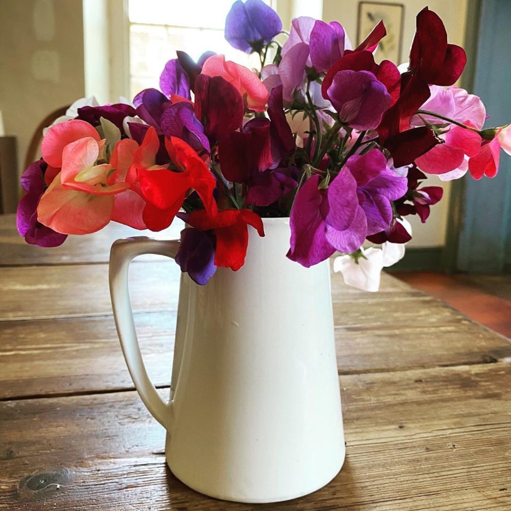 I enjoyed London but it’s sweet to be back #sweetpeas #homesweethome #suffolk #n...