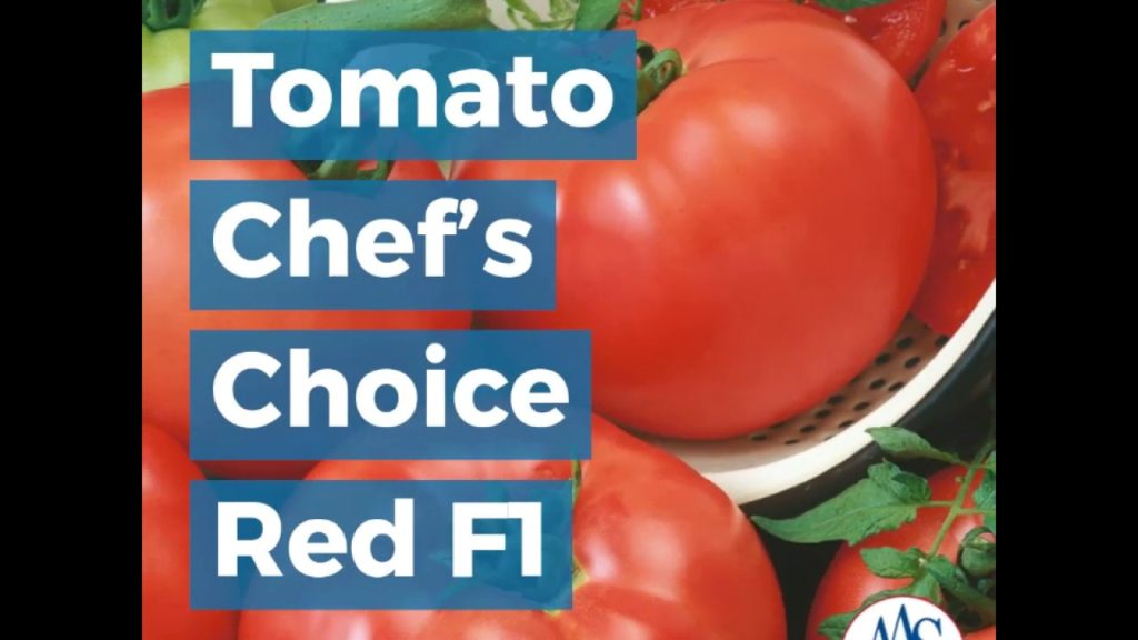 Chef's Choice Red Beefsteak-type Tomato