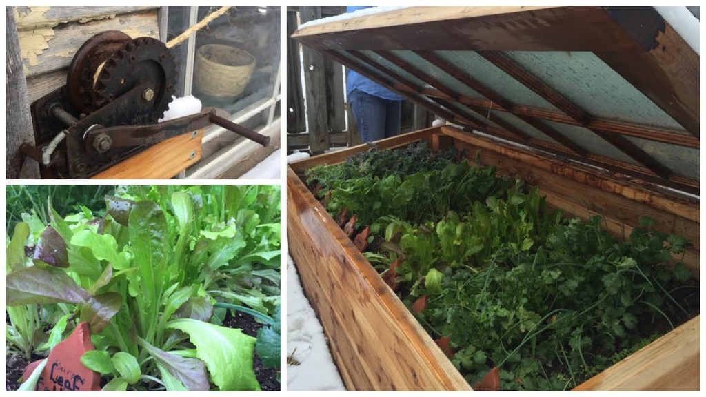 Garden Answer: My Mom's AWESOME Cold Frame! My Mom's AWESOME Cold Frame!