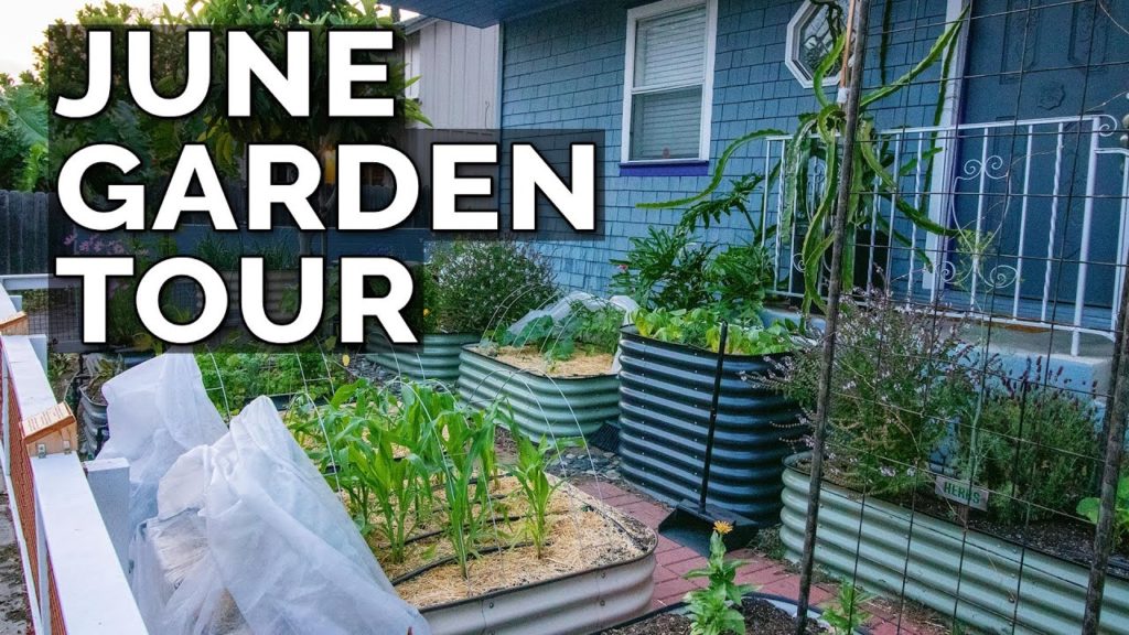 Full June Garden Tour 2020!