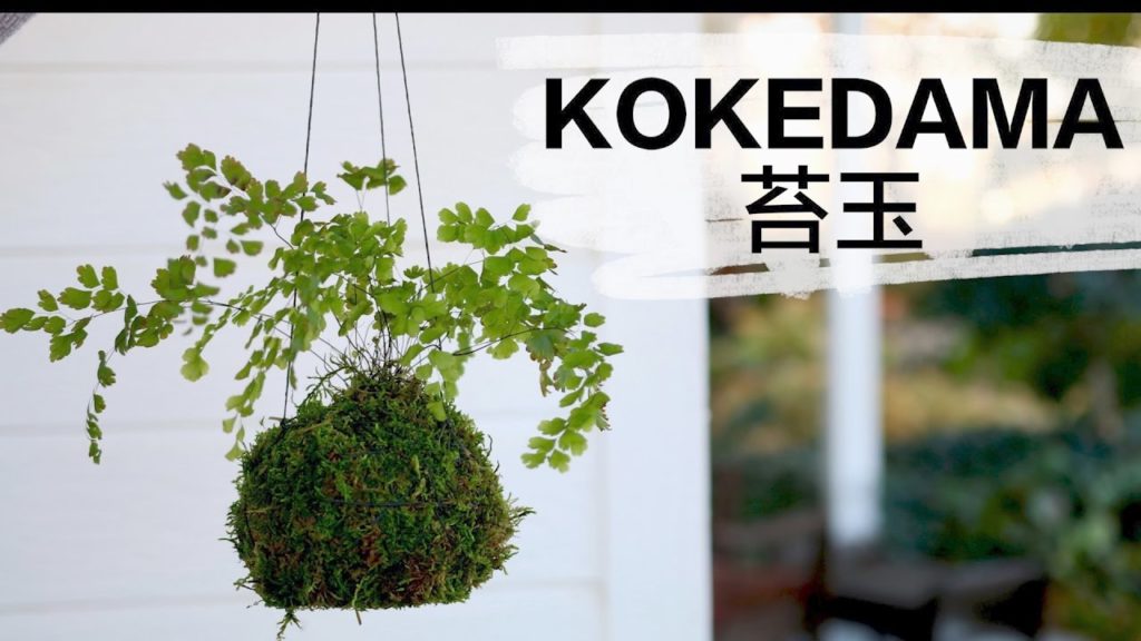 Garden Answer: How to Make Kokedama // Garden Answer How to Make Kokedama // Garden Answer