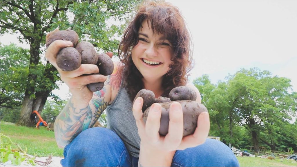 Roots and Refuge Farm: I Can’t Believe it WORKED! | VLOG I Can’t Believe it WORKED! | VLOG