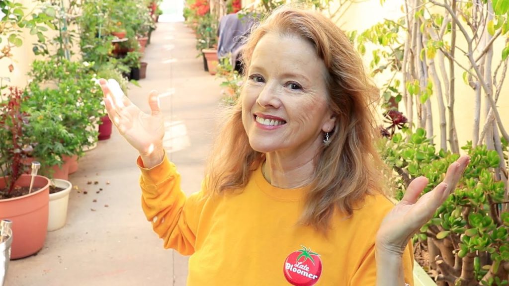 COMPLETE Spring Garden Update - What's Doing Great and What's Not