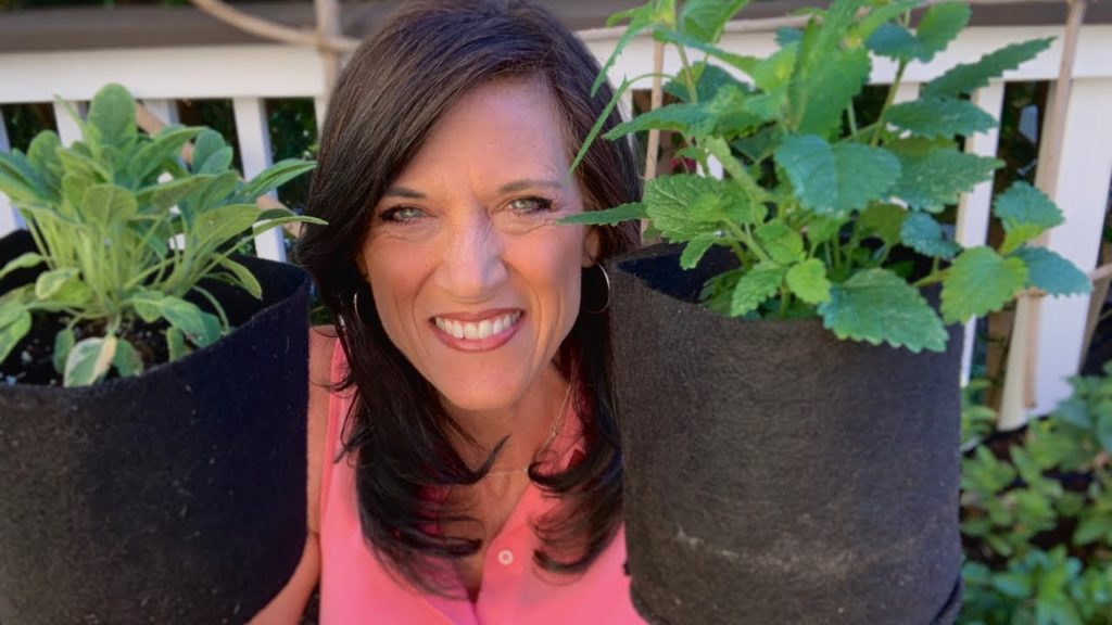🌿LIVE: Tips for Growing Herbs in Containers (REPLAY)