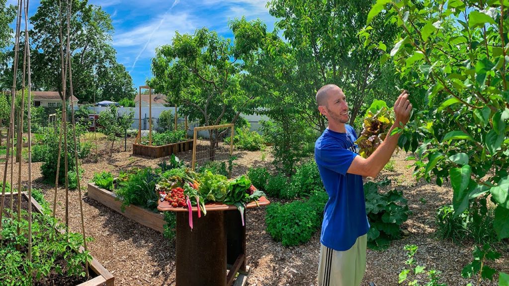 They said a garden like this Would Never Work, now the Harvesting is Most of the Work
