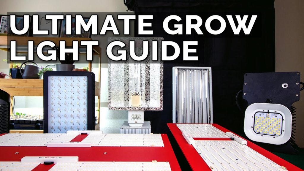 Epic Gardening: How to Choose a Grow Light: T5  Fluorescent vs. CMH vs. LED Grow Lights Explained How to Choose a Grow Light: T5  Fluorescent vs. CMH vs. LED Grow Lights Explained