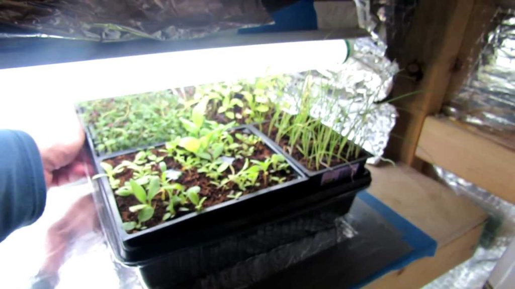 Basic Vegetable Grow-Light Closet Design - The Right Lighting: The Rusted Garden 2013