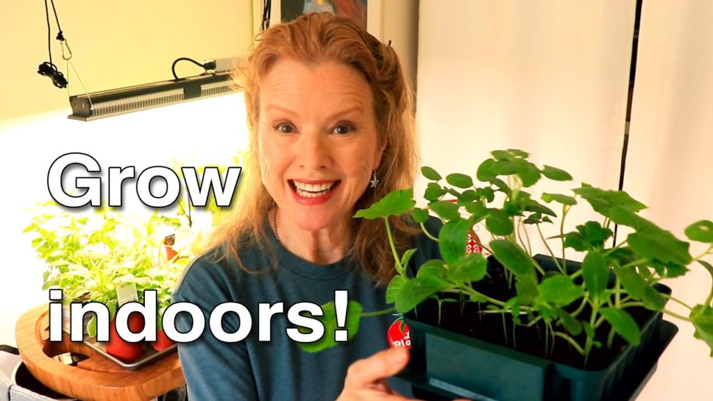 POTTING Seedlings and SUCCULENTS in your INDOOR GARDEN | TIPS - Part 3 | BLOOPERS