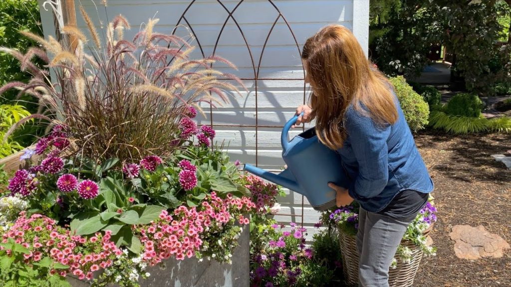 How I Fertilize Flowers and Vegetables! 🌿🌺💦// Garden Answer