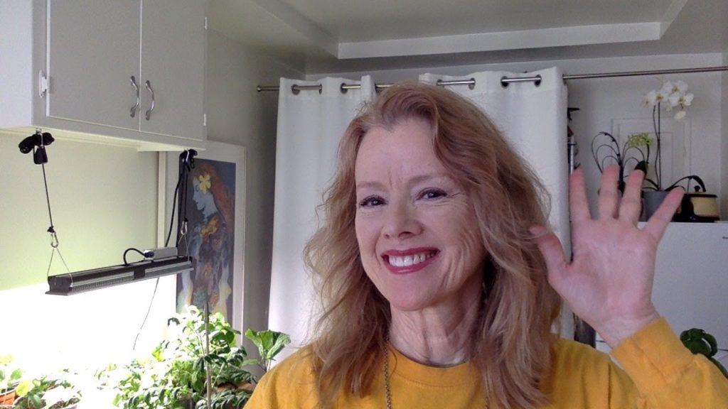 News, Updates, Shoutouts, Tune in!