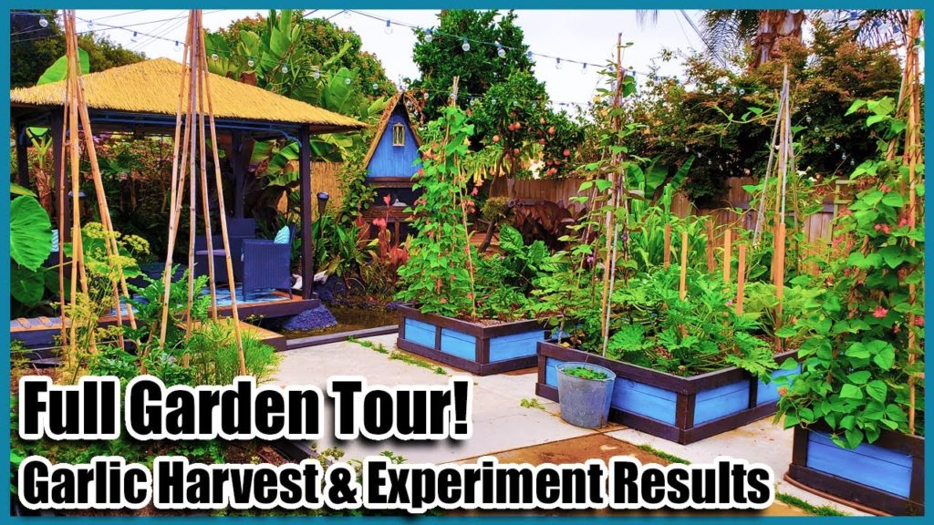 Full Garden Tour 2020 & Garlic Harvest & Experiment Results!