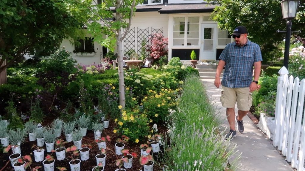 Garden Answer: Even Aaron was Surprised by the Amount of Plants! 😆🥰🙌// Garden Answer Even Aaron was Surprised by the Amount of Plants! 😆🥰🙌// Garden Answer