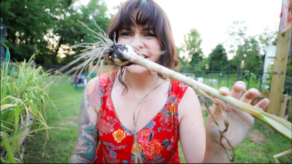Roots and Refuge Farm: The Garden Classroom (There's so much I don't know) | VLOG The Garden Classroom (There's so much I don't know) | VLOG