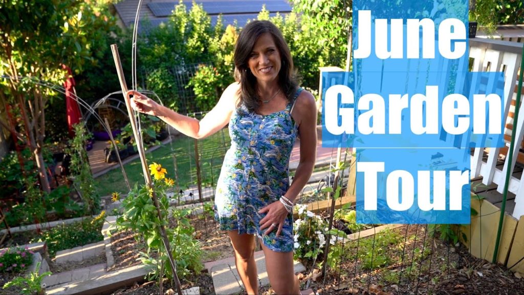 CaliKim: June Garden Tour-Summer Changes-Sunflowers, Trellises, Watermelon,Tomatoes, Eggplant, and More π»ππ
ππΆ June Garden Tour-Summer Changes-Sunflowers, Trellises, Watermelon,Tomatoes, Eggplant, and More π»ππ
ππΆ
