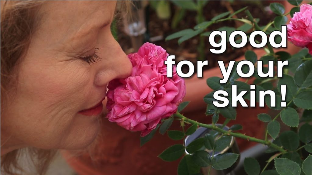 Don't make this ONE mistake Making ROSE WATER | BLOOPERS