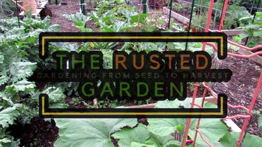 TRG Homestead VLOG E-20: Updates on Plants from Other Videos, Garden Tour & Tips - Lots of Growth