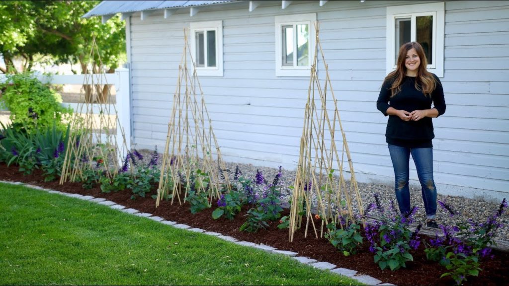 Garden Answer: Growing Vines up Teepee Trellises 🌿 // Garden Answer Growing Vines up Teepee Trellises 🌿 // Garden Answer