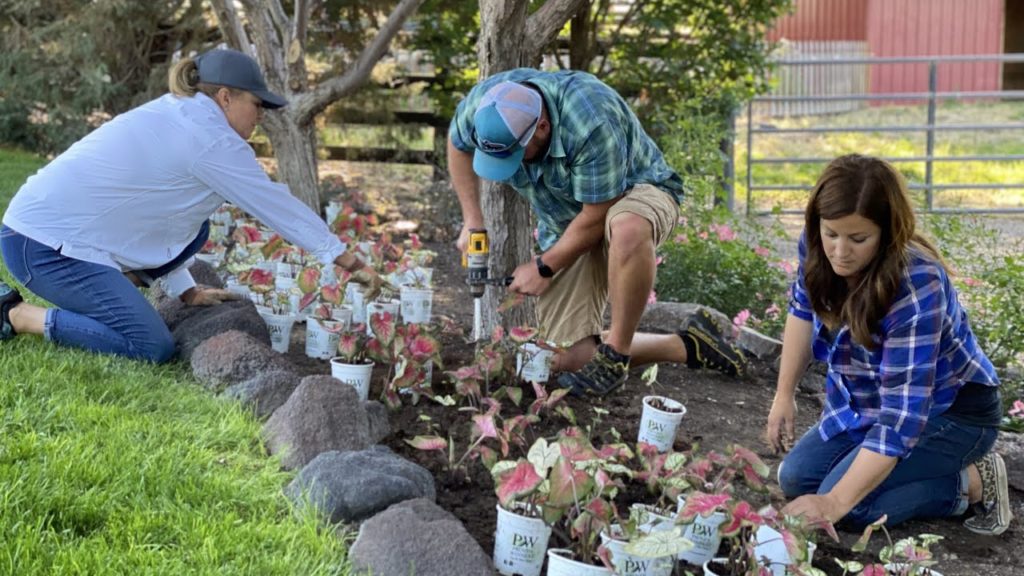 Garden Answer: Planting Caladiums & Salvia in My Parent’s Garden! 🥰🌿💚// Garden Answer Planting Caladiums & Salvia in My Parent’s Garden! 🥰🌿💚// Garden Answer