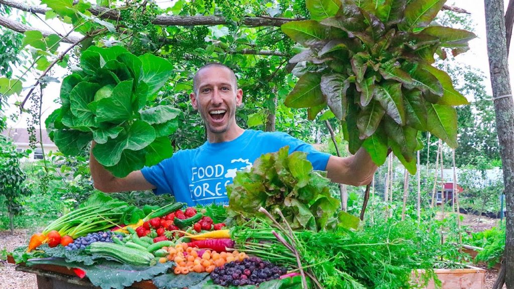 This UNCOMMON Approach to Gardening is How I Harvest TONS of Food