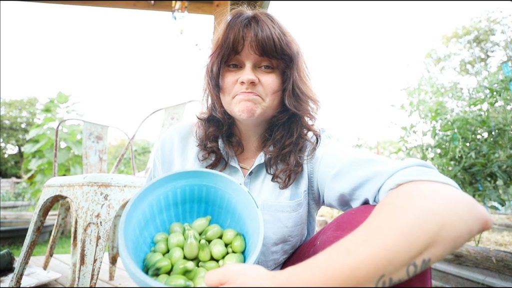 Roots and Refuge Farm: Not a TOTAL loss (And let's talk about fireflies) | VLOG Not a TOTAL loss (And let's talk about fireflies) | VLOG