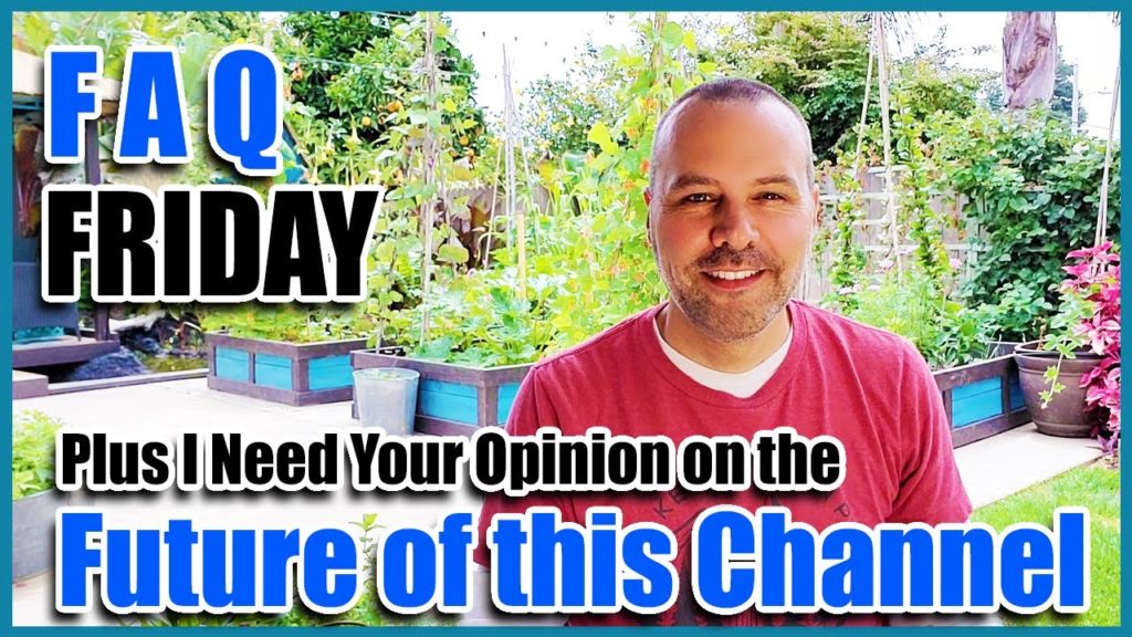 California Garden TV: FAQ FRIDAY & Conversation About the Future of California Garden TV. I Need Your gardening Feedback FAQ FRIDAY & Conversation About the Future of California Garden TV. I Need Your gardening Feedback