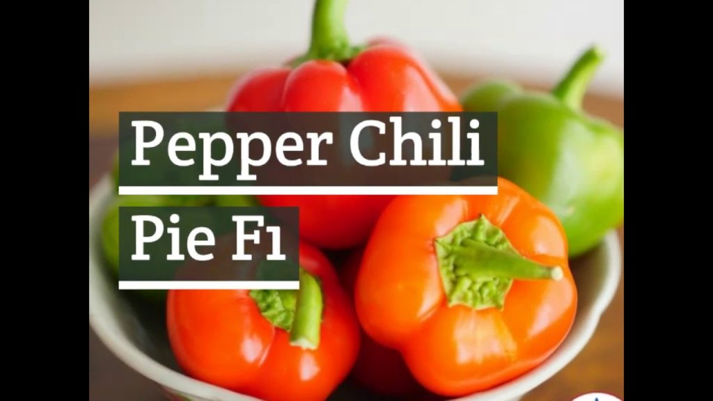 Mini Bell Pepper - Chili Pie