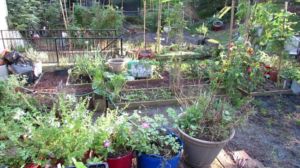 The Rusted Garden is Closing Tour 10/9/18: The Move, Fall Potatoes & Greens, Tips & Changes