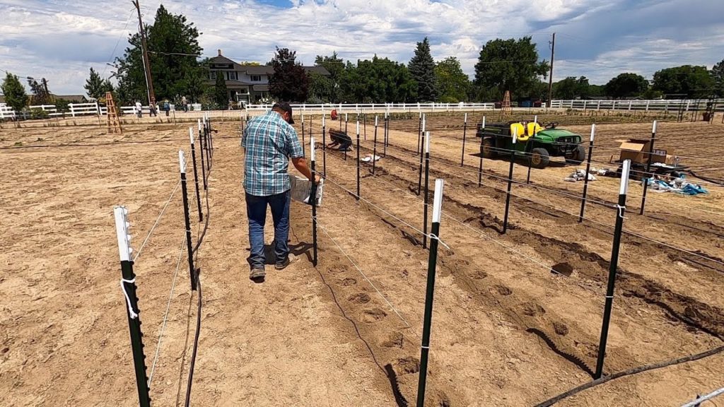 Finally Planting Dahlias! 🤪🙌💚// Garden Answer