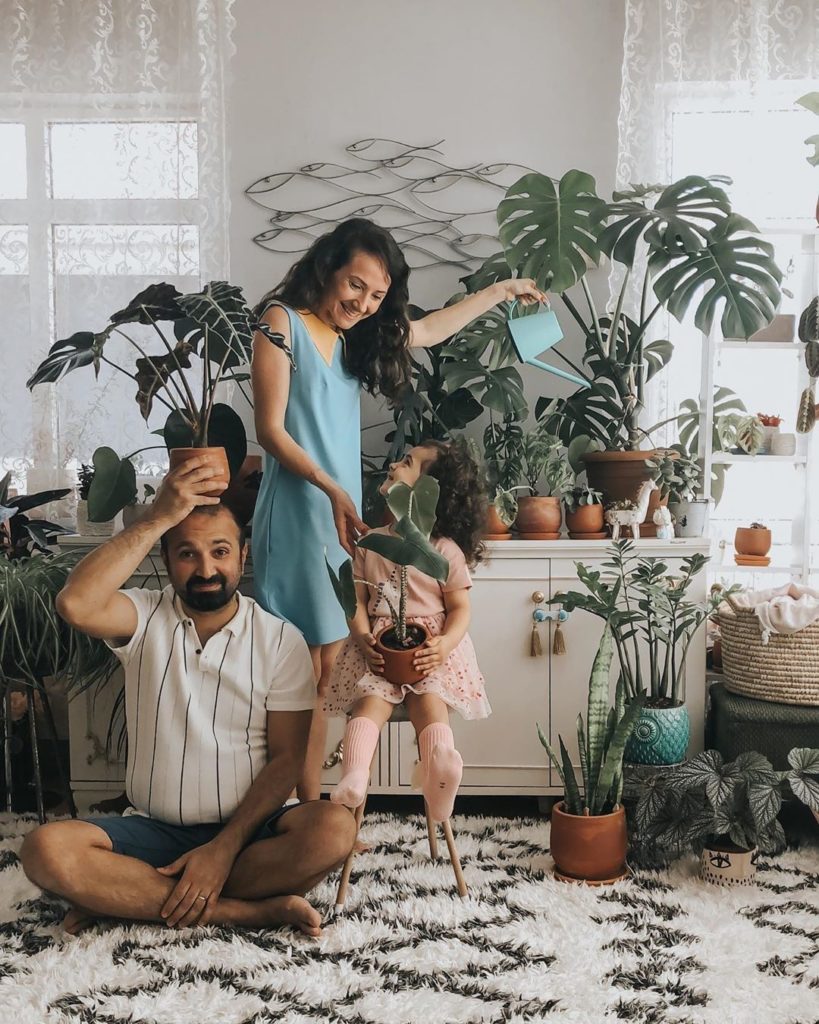 This plant family portrait gives us so much joy  Meet Onur, Naile and Ada from @...