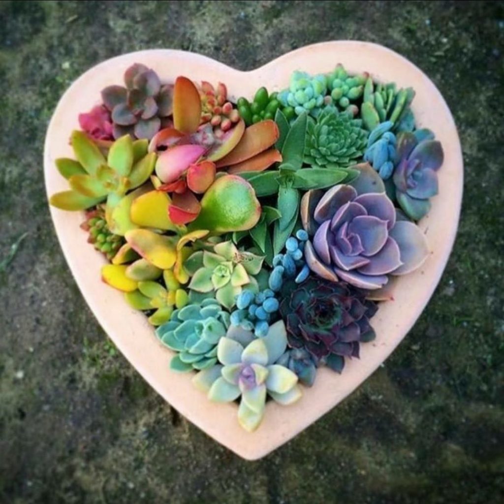 Let all you do be done with LVE PC: unknown...