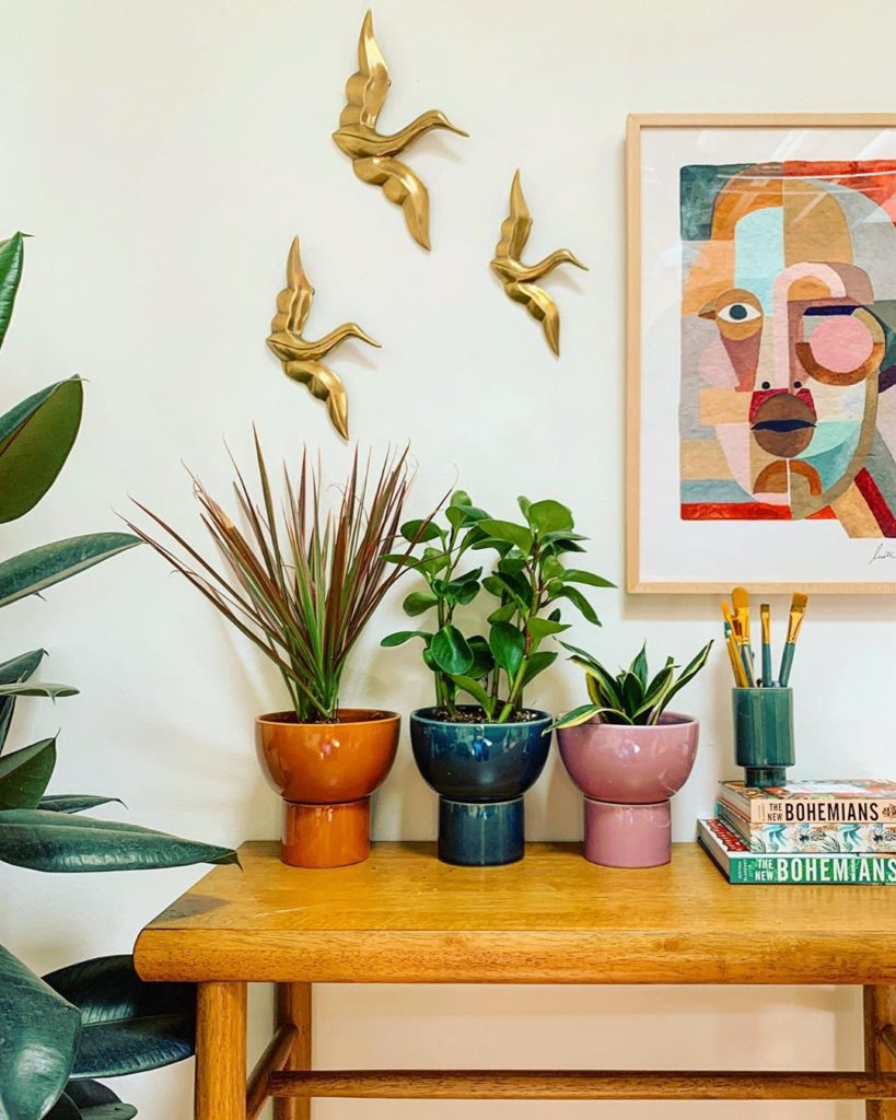 How do you bring the outdoors in?  #jungalow...