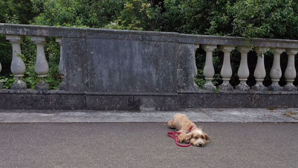 #Monday #morning #magic : #climbing into another week like this #amazing ramblin...