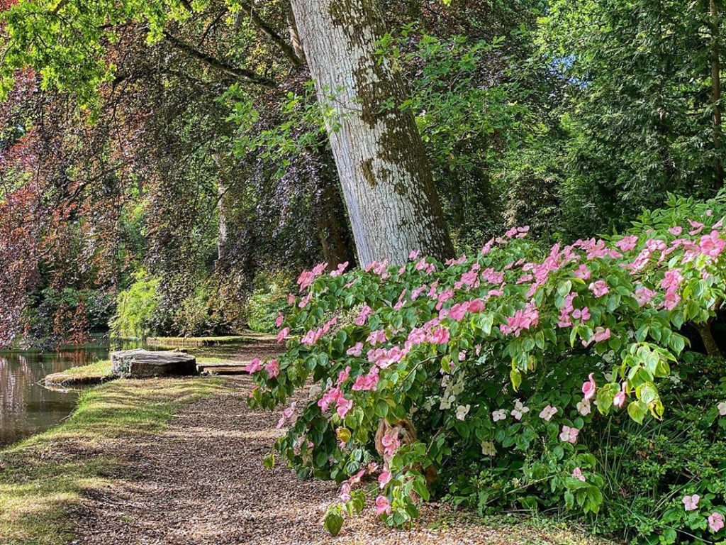 #WheresWillow #Wednesday... enjoy ...