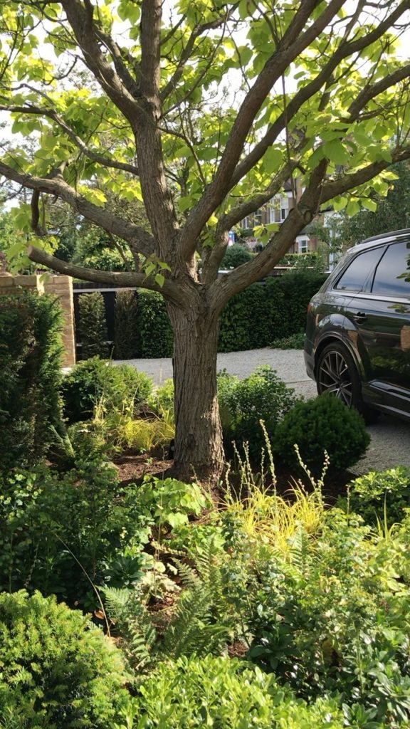 charlotterowegardens: Just found this little video of the team putting the finishing touches to a fron… Just found this little video of the team putting the finishing touches to a fron...