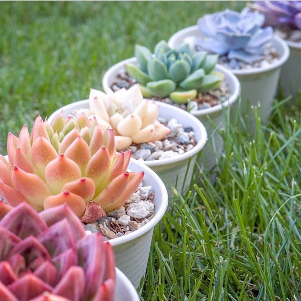 “The greater the storm the brighter the rainbow.” The best is yet to come! Stay...