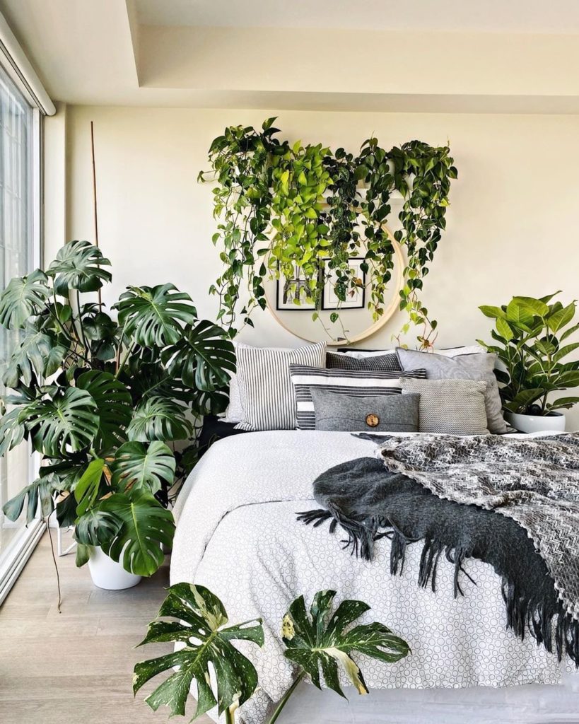 Happy plants all around at @dorringtonr's place ...