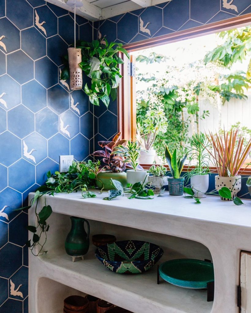 Bringing the outdoors in, allllllll day everyday. Featuring the @justinablakeney...