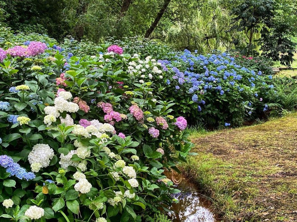 #WheresWillow #Wednesday......