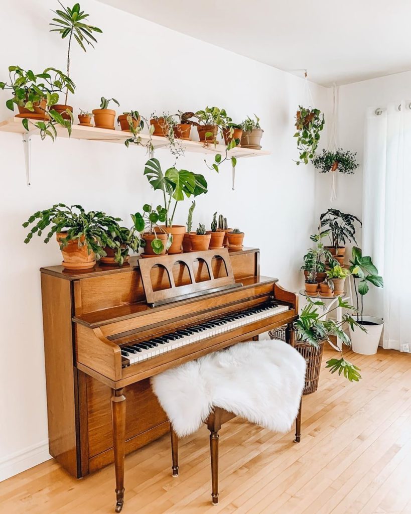 We love a good plant piano  Set up by @coffeeinmyjungle...