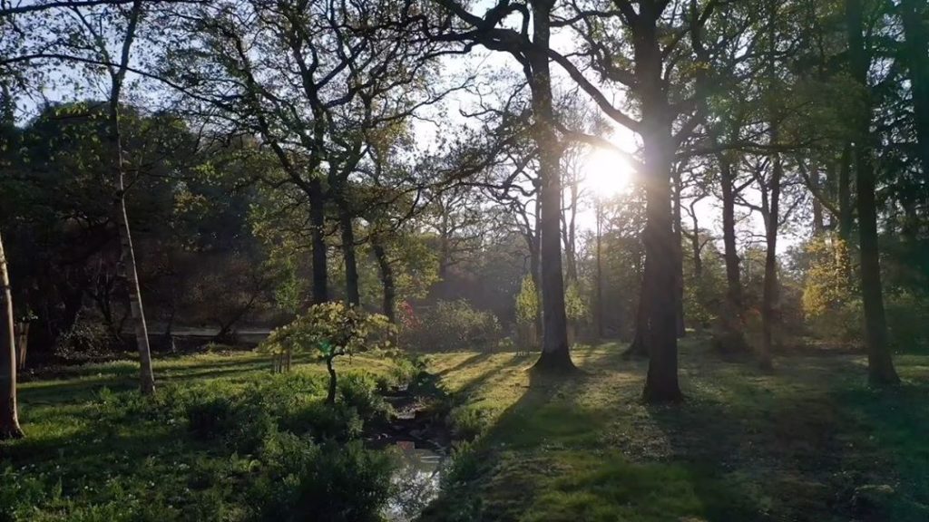 #Monday #morning mosey...