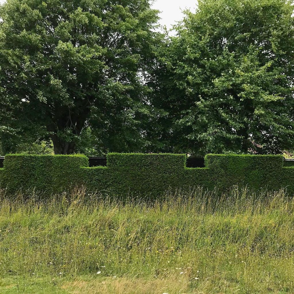 Englishman’s hedge is his castle... @westdeangardens #castellated #yew #evergree...