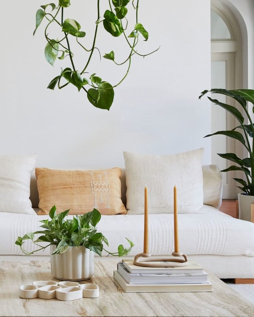 Marble Queen Pothos + the Balboa planter= the ideal coffee table addition ...