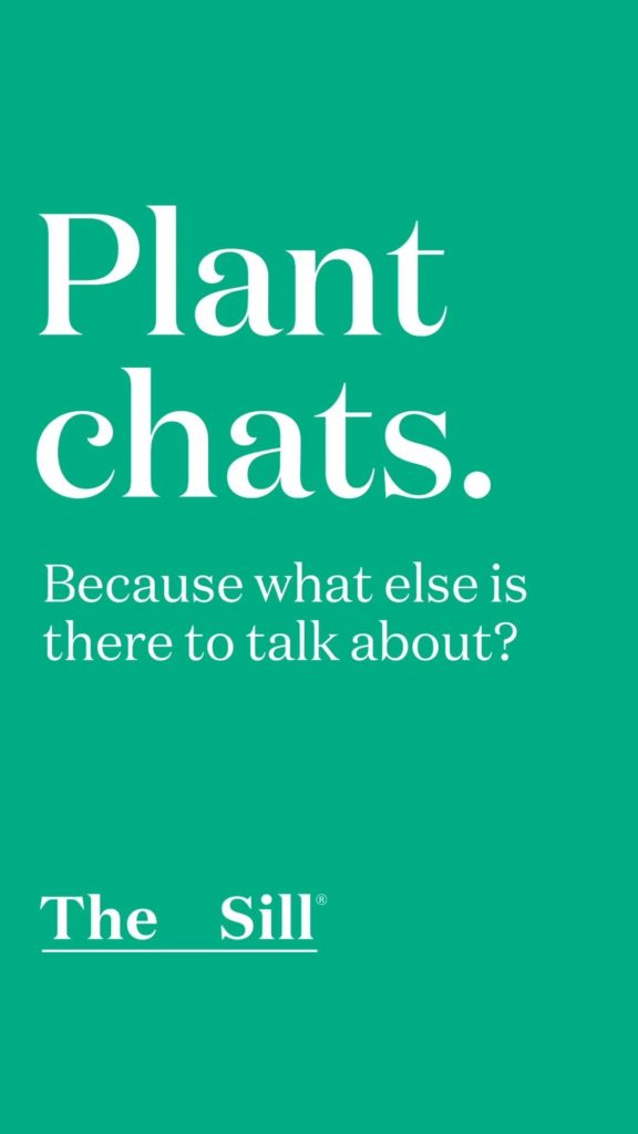 We love a good plant chat, so much so that we got our UK-based friends Stu @plan...