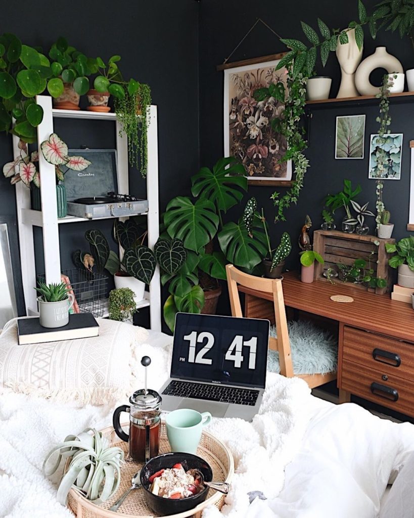 Happy #MonsteraMonday  Let's start the week off with some good energy. Photo by ...