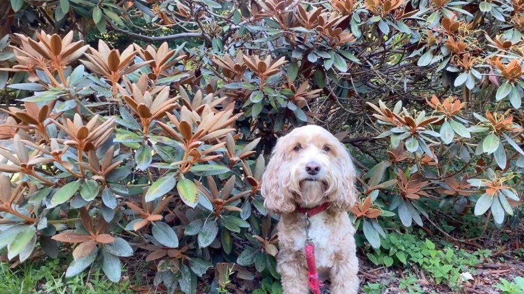 #Fun #Facts #Friday...