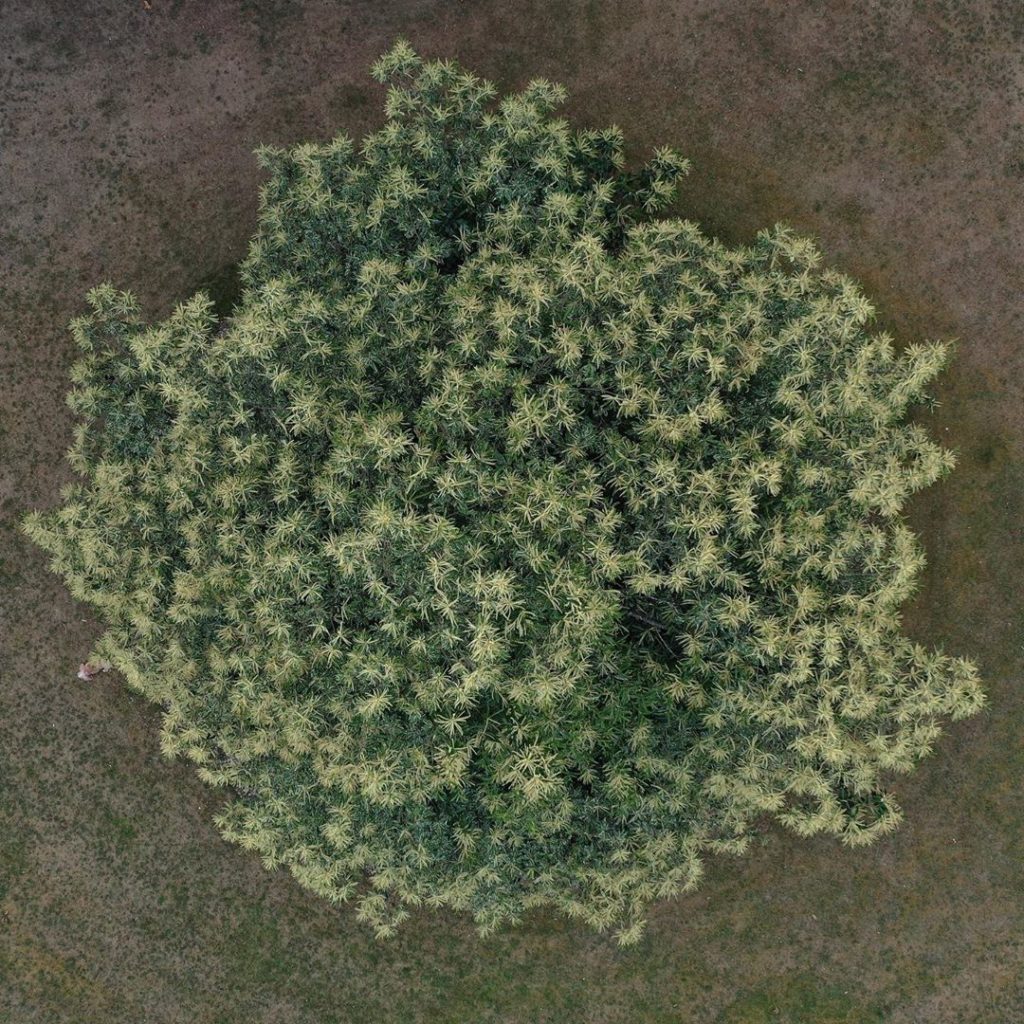 #WheresWillow #Wednesday......